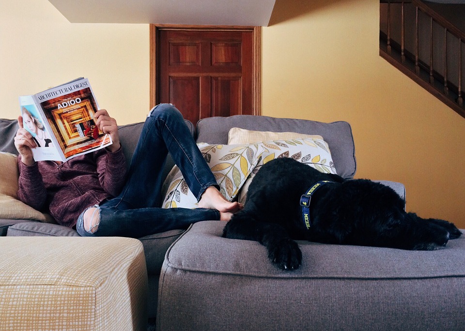 雑誌を読む人と黒い犬