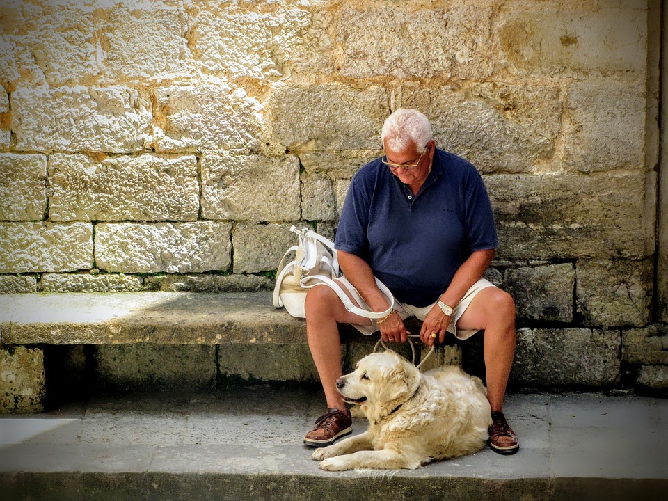 高齢の男性と白い犬